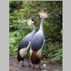 Fahrt2014VogelparkWalsrode2.jpg
