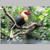 Vogelpark2.jpg